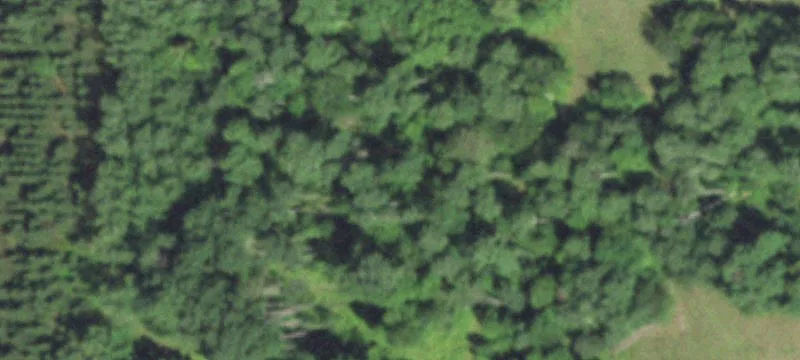 Irma, WI 54442