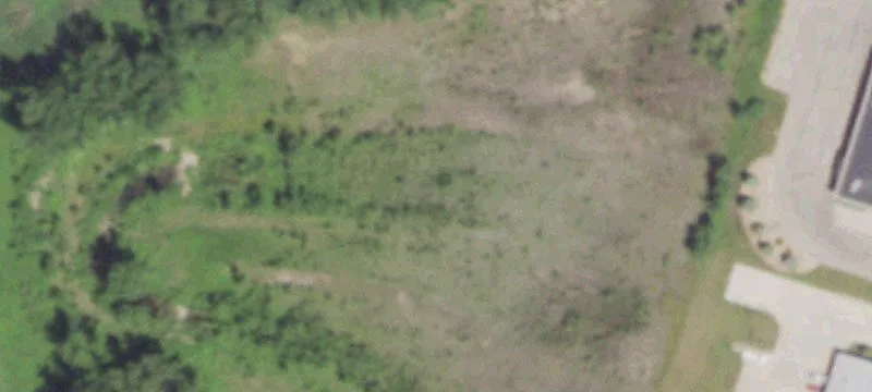 New London, WI 54961