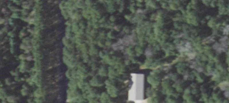 1398 Alpine Dr