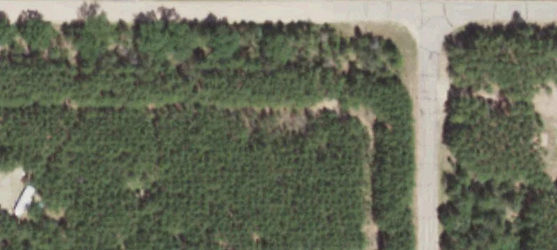 Necedah, WI 54646