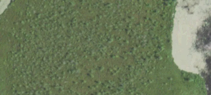 9699th Deer Lk Ln