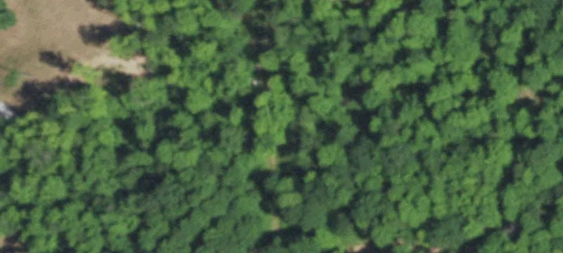 White Lake, WI 54491
