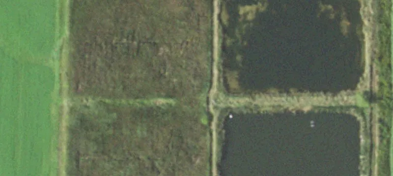 Marshfield, WI 54449