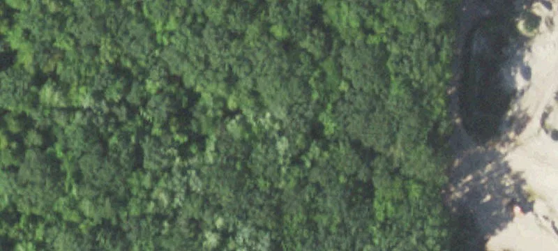 Pittsville, WI 54466