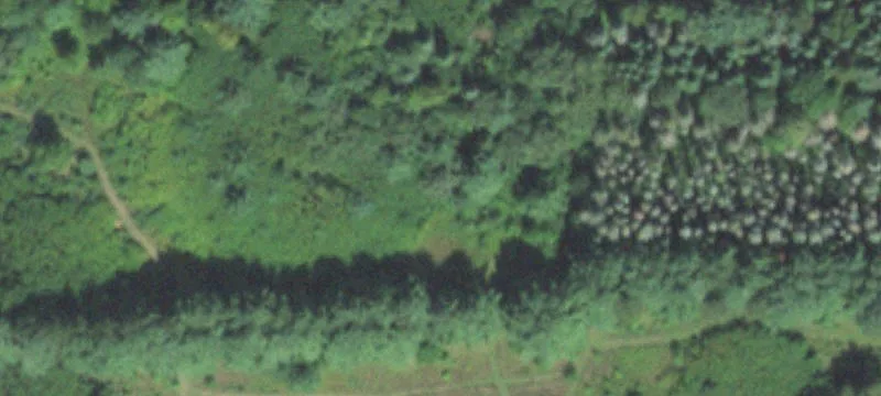 Mosinee, WI 54455
