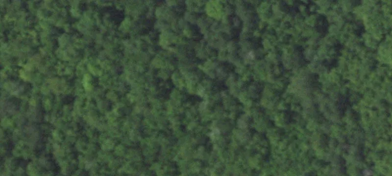 Peshtigo, WI 54157