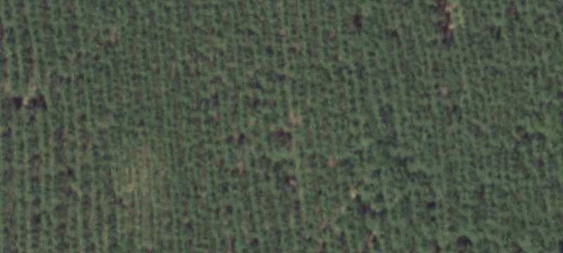 Nekoosa, WI 54457