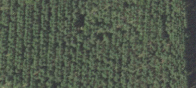 Nekoosa, WI 54457