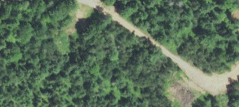 5990 Us Hwy 45