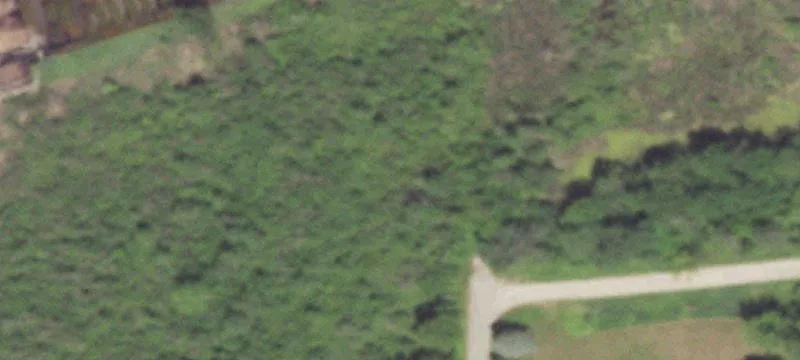 Marion, WI 54950
