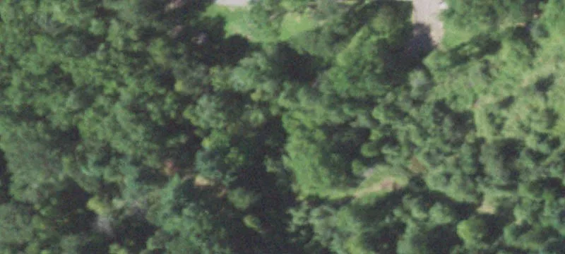 Greenwood, WI 54437