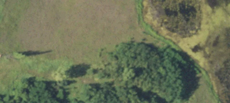 Stevens Point, WI 54482