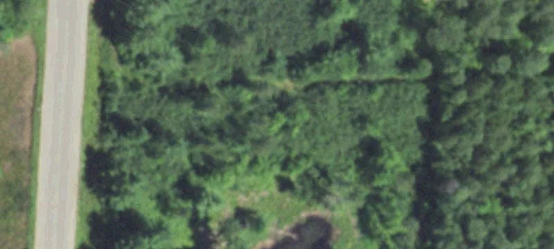 Three Lakes, WI 54562