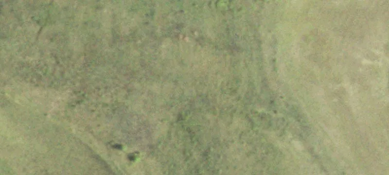 Blair, WI 54616