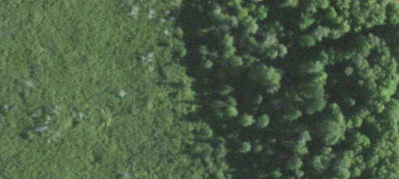 Butternut, WI 54514