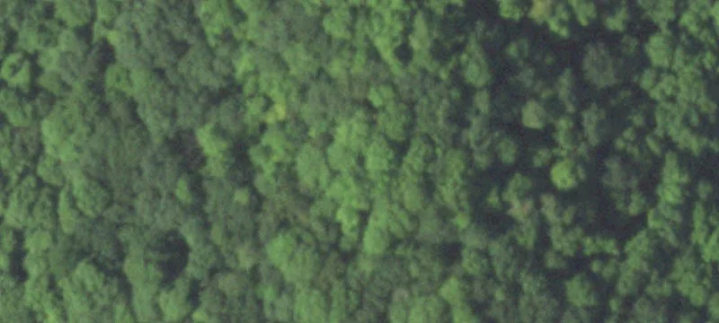 Menomonie, WI 54751