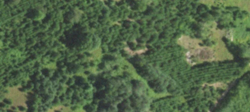 Pelican Lake, WI 54463
