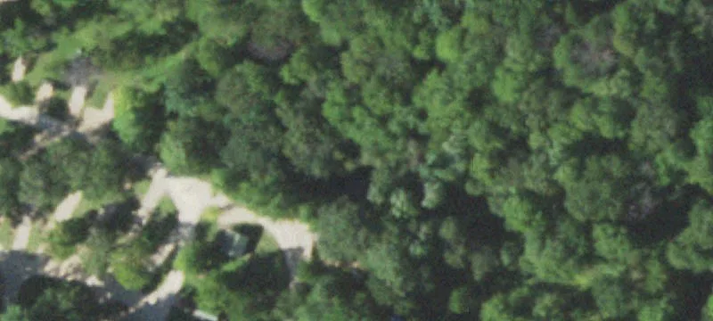 Tomah, WI 54660