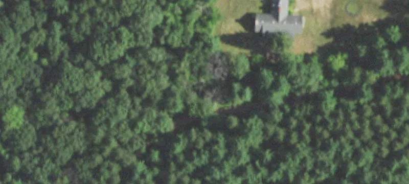 Wild Rose, WI 54984