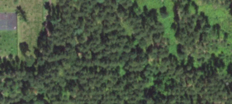 Stevens Point, WI 54481