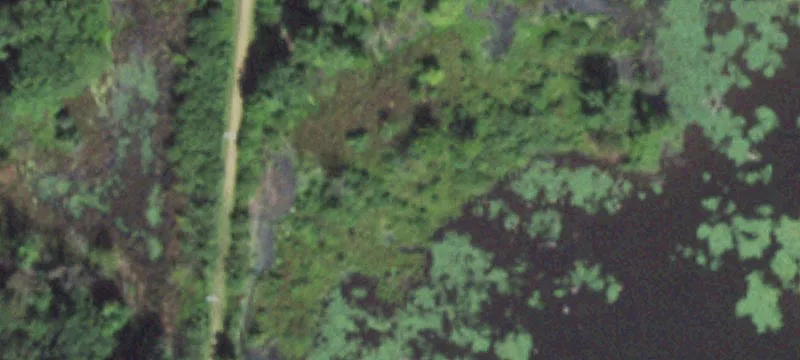Stevens Point, WI 54481