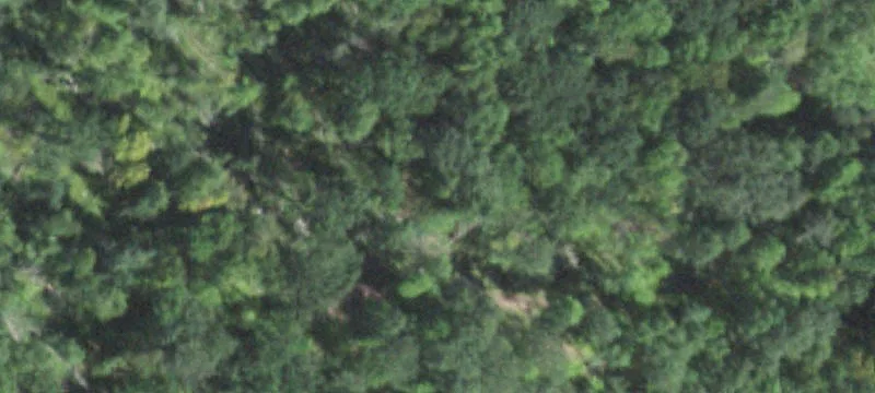 Greenwood, WI 54437