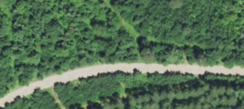 Arbor Vitae, WI 54568