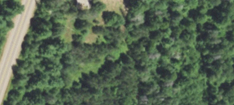 2486 Lollycoogan Ln