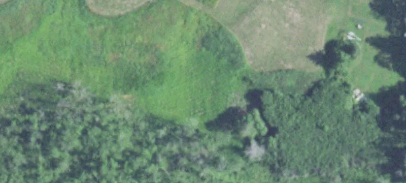 351 Middle Rd