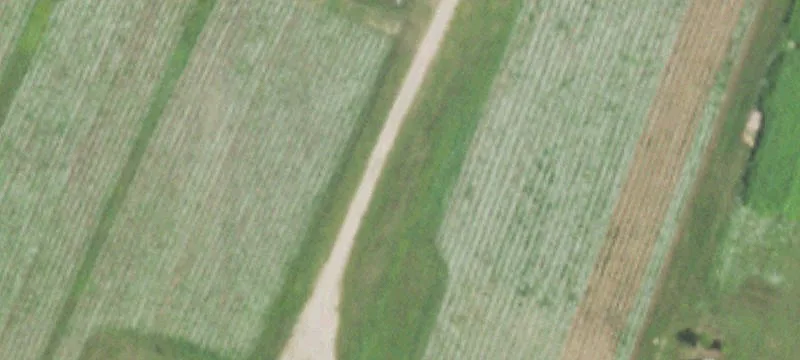Wautoma, WI 54982