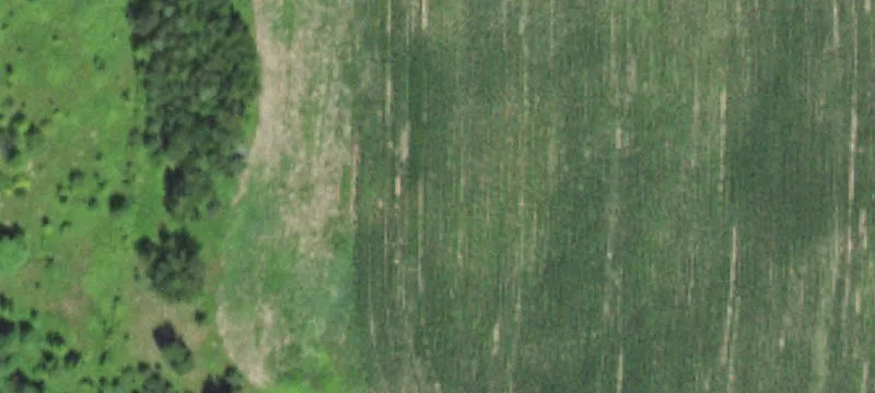 Saint Croix Falls, WI 54024