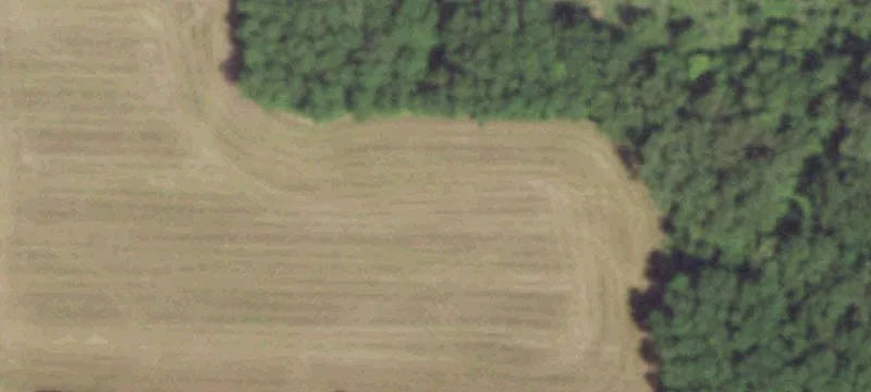 9525th Blueberry Rd