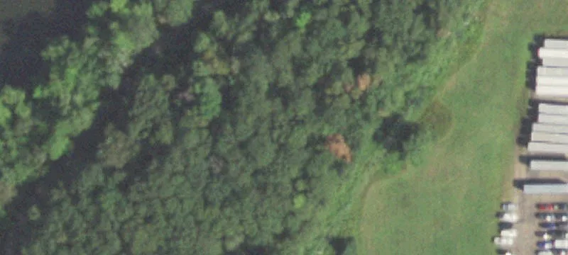 Rice Lake, WI 54868