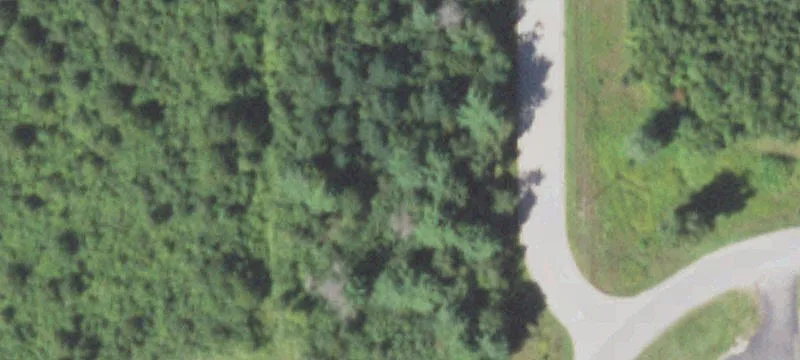 220 Sherrylynn Rd