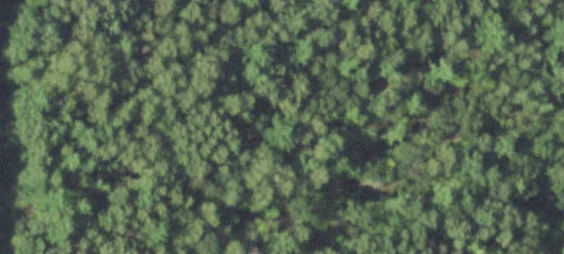Webster, WI 54893