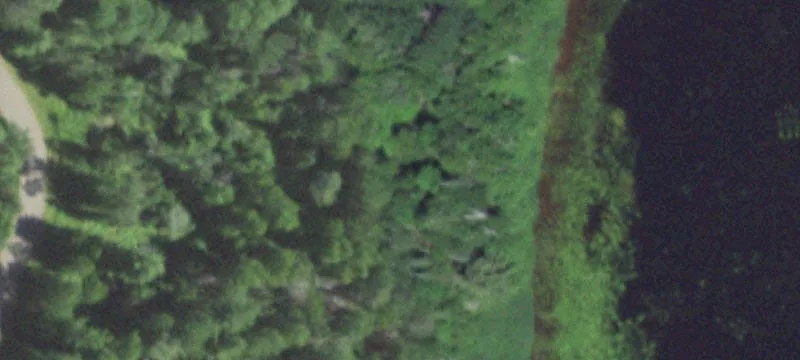 Mercer, WI 54547