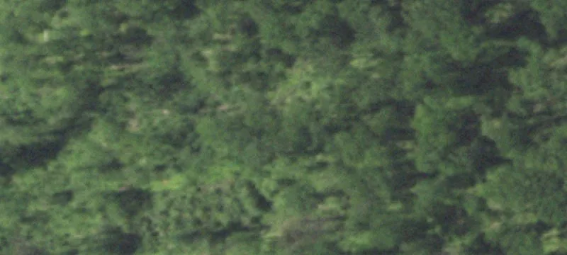 Pound, WI 54161