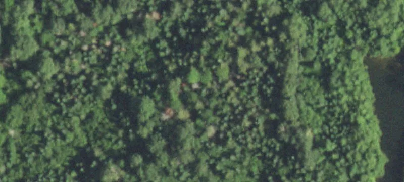 Prentice, WI 54556