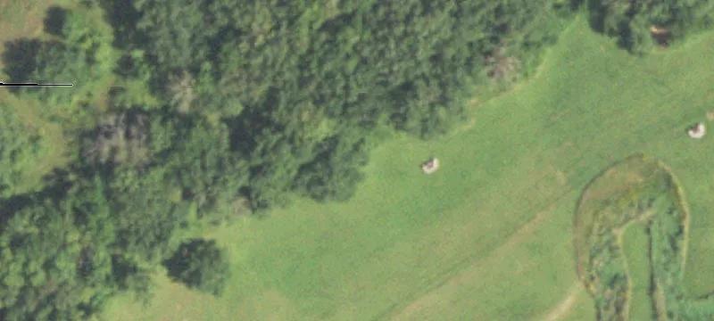 10012 University Farm Rd
