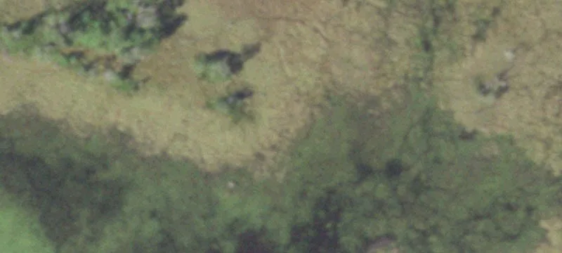Nekoosa, WI 54457