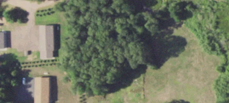 Webster, WI 54893