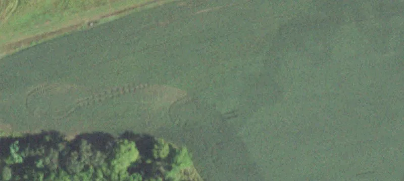 Whitehall, WI 54773