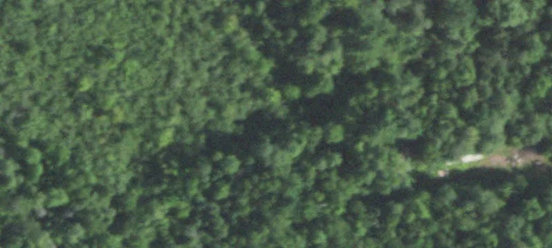 Ogema, WI 54459
