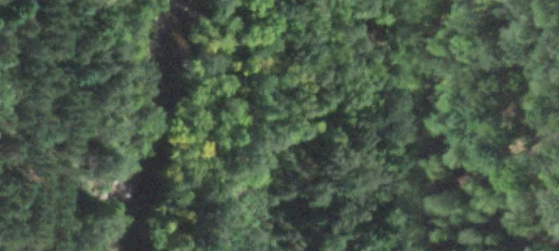 Greenwood, WI 54437