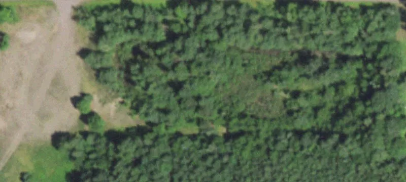 Butternut, WI 54514