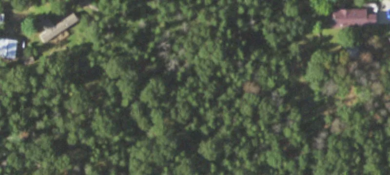 4689th Palace Rd