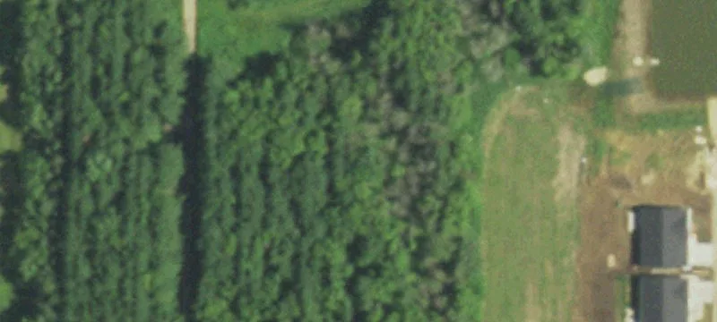 Belleville, WI 53508
