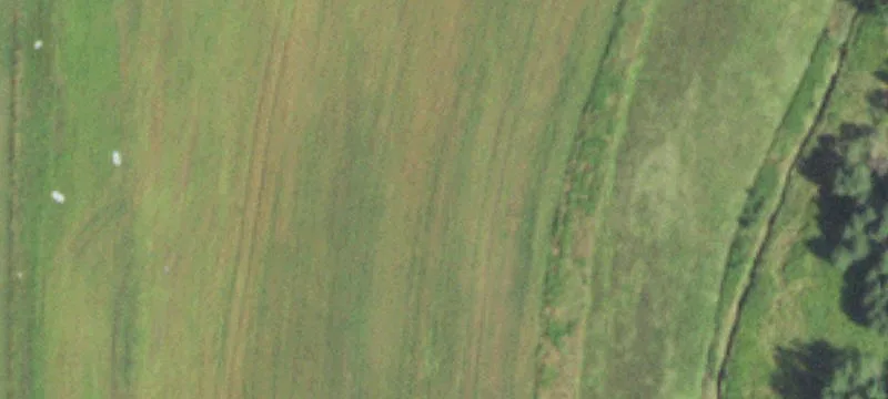Medford, WI 54451