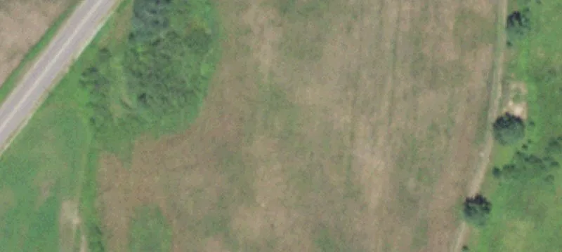 Ogema, WI 54459