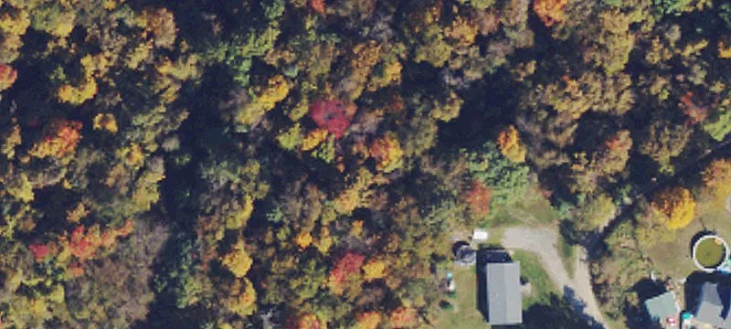 Triadelphia, WV 26059
